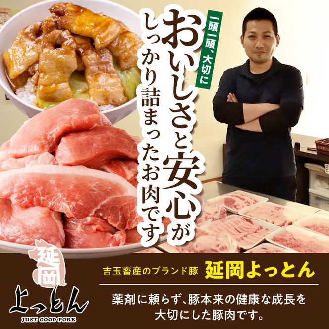 延岡よっとん 上ロースブロック約1kg N003-YB129