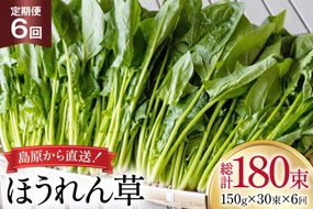 AI327 定期便 6回 ほうれん草 30束 [ 野菜 ホウレン草 やさい ホウレンソウ 冷蔵 葉物野菜 田中農園 長崎県 島原市 ]