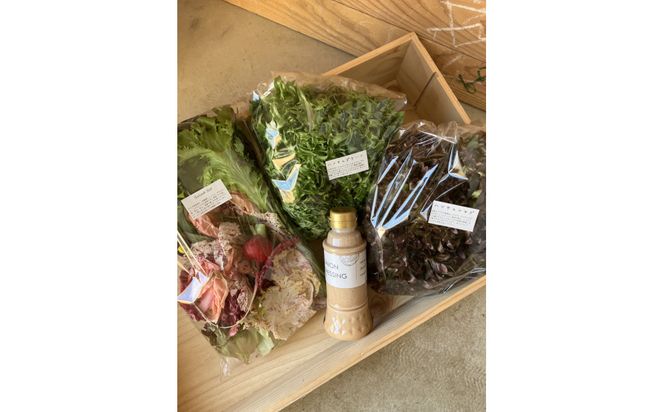 【SPIRA FARM】旬の野菜と玉ねぎドレッシングのセット（１３～１５品） 322032_FY006