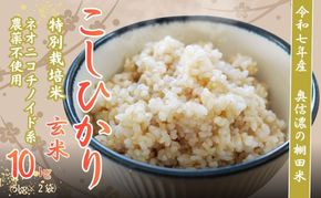 【令和7年産】特別栽培米 『奥信濃の棚田米 実の里』 こしひかり 玄米 10㎏ (7-22A) 