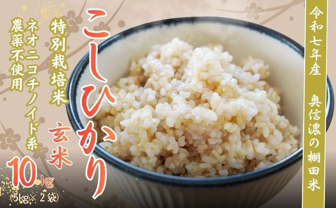 【令和7年産】特別栽培米 『奥信濃の棚田米 実の里』 こしひかり 玄米 10㎏ (7-22A) 
