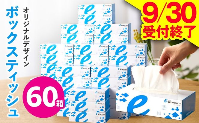 099H3422 【9/30受付終了】ボックスティッシュ 60箱×400枚（200組）【生活用品 雑貨 日用品 必需品 紙 常備品 まとめ買い 備蓄 防災 ティッシュペーパー てぃっしゅ ティッシュ eスポーツ応援 泉佐野市オリジナル】