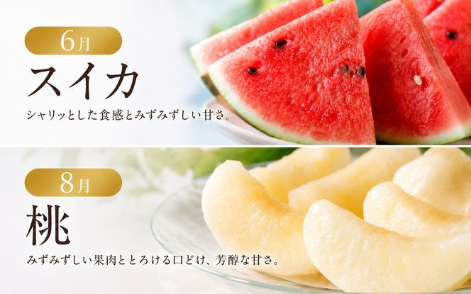 【発送月固定定期便】紀州和歌山産旬のフルーツセット(不知火・清見・スイカ・桃・柿・みかん)全6【tkb454】