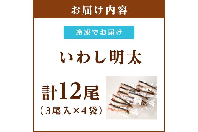 【A8-077】いわし明太 12尾