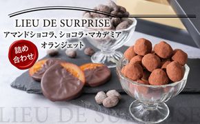 ［Pâtisserie LIEU DE SURPRISE］アマンドショコラ、ショコラ・マカデミア、オランジェット詰め合わせ 372013_HE001