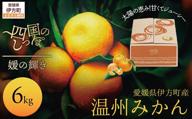 yQɕzyQɕYzžb݁IÂăW[V[Ȃ݂ Q̋P 6kgi2025N11{菇j IKTE006