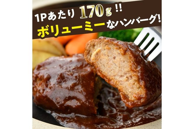 デミグラスハンバーグ(計3.4kg・170g×20個) 簡単調理 温めるだけ 豚肉 デミグラスソース 洋食 湯煎 お肉 牛肉 ソース 冷凍 個包装 国産 おかず 惣菜 レンジアップ 【C-28】【株式会社 英楽】
