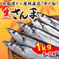 さんま 1kg 8尾～12尾 冷蔵 鮮秋刀魚 [発送2025年9月～2025年11月下旬] 三陸 岩手 大船渡市 サンマ 秋刀魚 生 [kama014]	