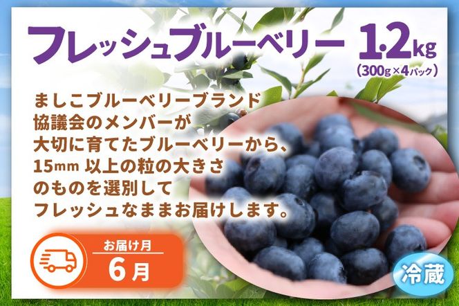 ＼旬なフルーツをお届け／ましこのフルーツ定期便 ＜年6回＞ | イチゴ ブルーベリー マンゴー 梨 ブドウ メロン 高級果物 フルーツ 新鮮 フレッシュ 旬 人気 ましこの果物 道の駅ましこ 果物 詰合せ セット 定期便 全6回 (AA043)