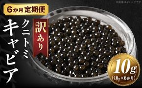 【訳あり】6か月定期便 クニトミキャビア 10g キャビア 国産 国産キャビア 高級 宮崎県産 珍味 おつまみ 酒の肴 家飲み 冷凍 訳あり お取り寄せ グルメ パーティー ワイン シャンパン 記念日 ご褒美 おもてなし 魚卵 宮崎県 国富町_kn068-t002