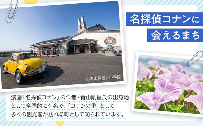 1264.【2026年度発送先行予約】訳あり　二十世紀梨　5kg 313726_CS007