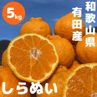 和歌山 有田 不知火 しらぬい 5kg DJ062