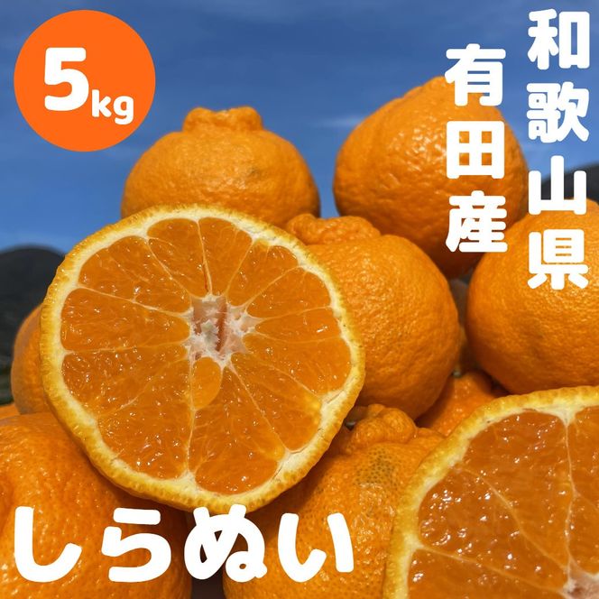 和歌山 有田 不知火 しらぬい 5kg DJ062