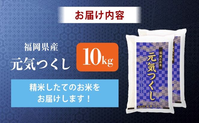 令和7年産　福岡県　元気つくし　10kg（5kg×2袋）《築上町》【カネガエ】[ABFA005]