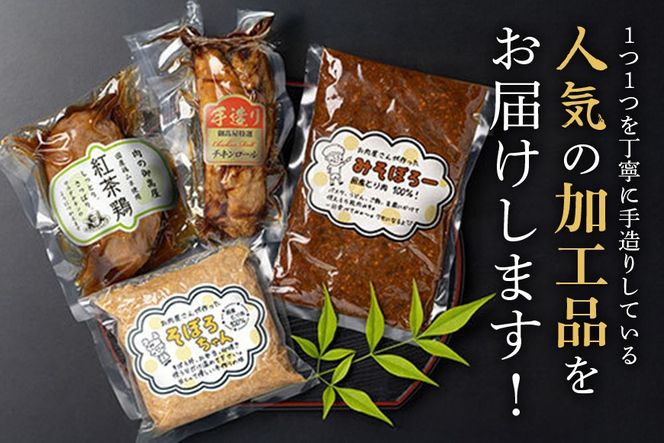 美味しい鶏々セット そぼろちゃん・みそぼろー・チキンロール・紅茶鶏 鶏肉 鶏そぼろ 肉味噌 肉巻き ごぼう巻き かやくごはん 肉 加工品 525