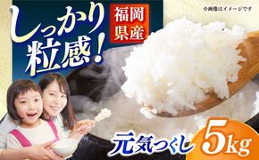 【令和6年産】果物屋さんが選んだ米 元気つくし 5kg 《築上町》【南国フルーツ株式会社】米 白米 お米 ブランド米[ABET010]