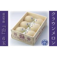 クラウンメロン（山等級）６玉入 果物類 メロン青肉 ギフト箱 