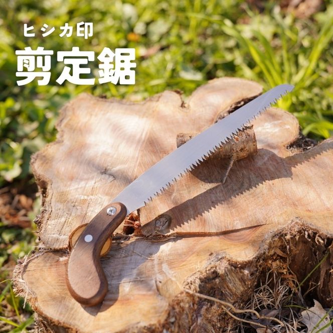 yɌO؎szvdlIqVJ 苘 210mm Tt ؕ ֐n Ėڗĉ