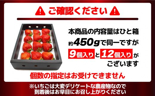 【先行予約】12月発送！「博多あまおう」EX　贈答用化粧箱　約450g 2箱【ほたるの里】_HA0755