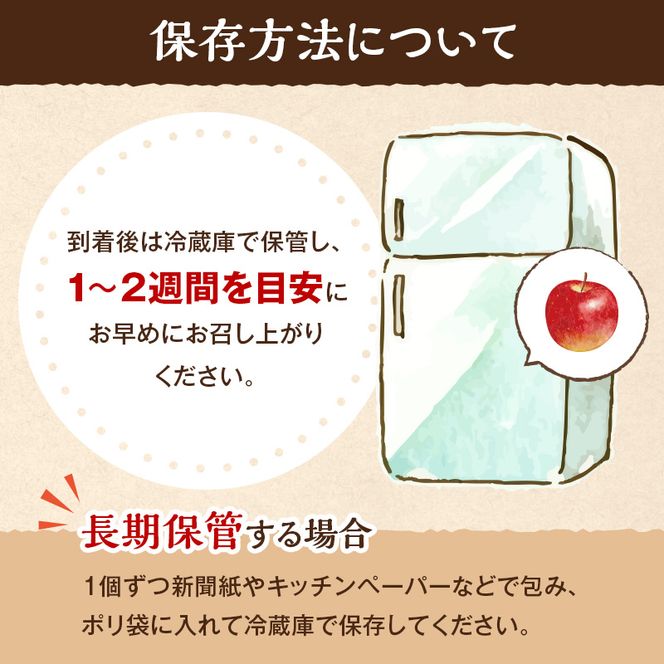 【2026年11月下旬～発送予定】 先行予約 サンふじりんご 秀品 約5kg 12～20玉入 長野県産 果物類 林檎 りんご リンゴ フルーツ 小諸市