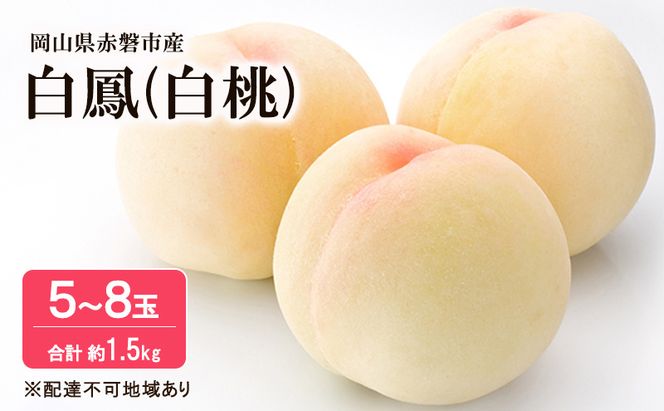 桃 2026年 先行予約 白桃 白鳳 約1.5kg 5～8玉 フルーツ 果物 岡山 赤磐市産