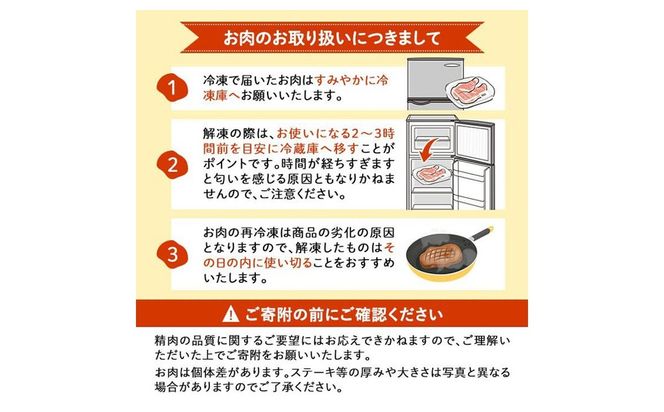 【定期便・全6回】お肉のお楽しみ定期便 総量9.8kg!  t0119-002