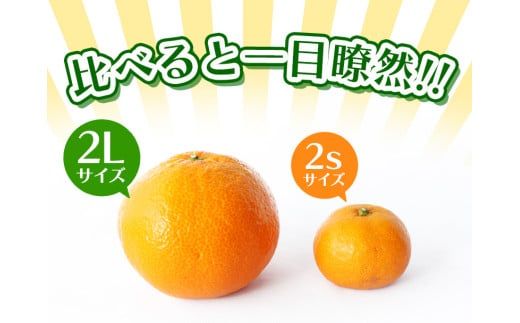 お試しにピッタリ！ 温州みかん 「小粒っこ」 2kg ※秀優混合 【2S～3Sサイズおまかせ】【2026年10月中旬～2027年2月下旬までに順次発送】(極早生・早生・中生・晩稲)＜味好農園＞/ 温州 みかん 小玉 蜜柑 柑橘 みかん 極早生 早生 中生 晩稲 小粒 果物 フルーツ 【agy004-s-2】
