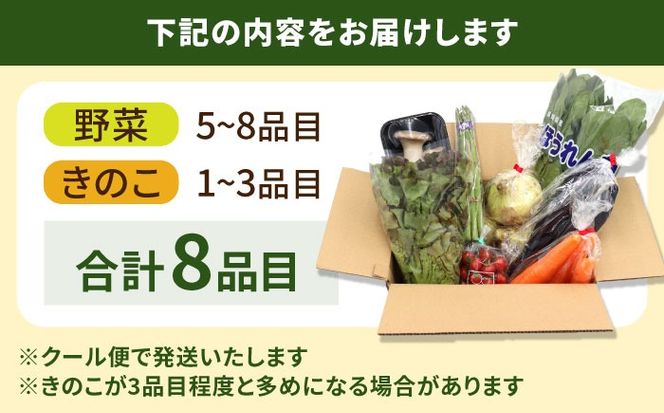 お試し野菜セット 8品目 詰め合わせ / 野菜 やさい ヤサイ 旬 新鮮 / 南島原市 / 吉岡青果[SCZ027]
