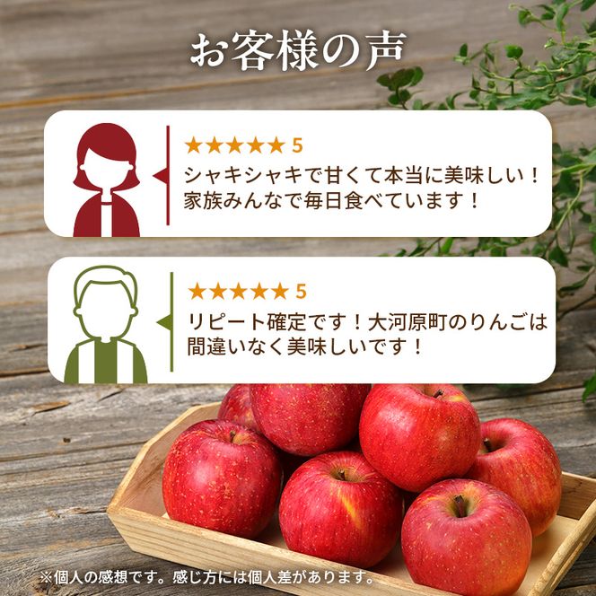 人気No.1 りんご ふじ 10kg 果物 フルーツ 先行予約 単品 定番 宮城県 大河原町 リンゴ 林檎 くだもの 大容量 送料無料