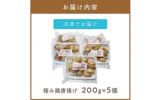 レンジで1品！極み鶏唐揚げ 1kg ( 肉 鶏肉 揚げ物 からあげ 総菜 冷凍 簡単調理 )【136-0029】