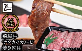 AB-42 A5飛騨牛サンカクバラカルビ焼き肉用1kg