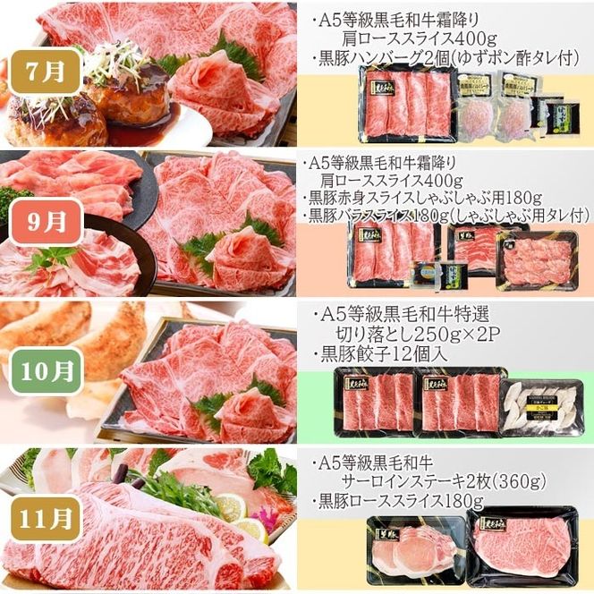 定期便(1年で10回配送)枕崎お楽しみ便(A5等級黒毛和牛・黒豚・黒豚加工品etc) II-6002 【1166753】