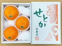 ハーフ 化粧箱 柑橘の大トロ ハウス せとか 厳選 大玉 3玉入 南泰園 BS145