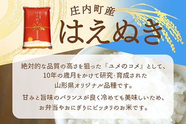 【新米受付】令和8年産 はえぬき 2kg 2kg×1袋 2026年産 ブランド米 米 国産 単一原料米 山形 庄内平野 コシヒカリの原点、亀の尾発祥の地 庄内【R8.10月以降発送開始/入金期限：2026年9月15日】