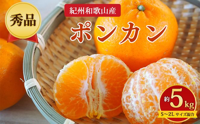 【先行予約】【秀品】紀州和歌山産 ポンカン 約5kg（箱込み）S～2L サイズ混合