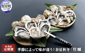 定期便 4回 季節によって味が違う！春夏秋冬「 牡蠣 」 【配送不可：沖縄・離島】 魚貝類 生牡蠣 かき マルえもん