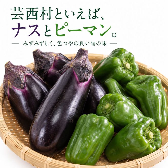 【CF-R7hbk】KPP030　朝どれ！ 野菜詰合せ／芸西村で採れた新鮮な野菜6～8種類をお届けします。特産品 ピーマン ナス こだわりの栽培方法 環境に優しい 安全で安心な野菜づくり  支援品