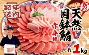 【2025年12月発送】 訳あり まぐろ 目鉢まぐろ 赤身 約 1kg 不定型柵 鮪 まぐろ 目鉢鮪 冷凍 鮪 漬け マグロ ユッケ 海鮮 メバチ マグロ