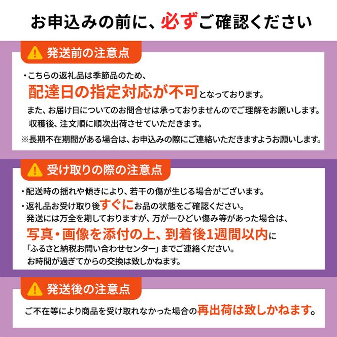 1～2月 津軽ぶどう村 秀品 スチューベン ぶどう 約 3kg  訳あり 家庭用 【 青森ぶどう 青森県鶴田町産 11月 12月 果物 フルーツ ポリフェノール 甘い 高糖度 美味しい 