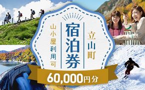 立山町 宿泊施設 宿泊券 60,000円分 宿泊チケット 宿泊 宿 山小屋 山荘 ホテル 旅 旅行 観光 レジャー チケット 登山 トレッキング アルペンルート 山岳観光 立山観光 F6T-1072
