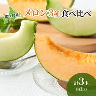 【2026年夏発送】 メロン 期間限定！　数量限定 3種 食べ比べ! 富良野メロン赤・青・黄 セット 計3玉 北海道 ふらの めろん 果物 フルーツ 甘い ジューシー