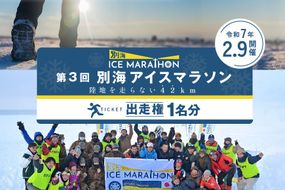 第3回別海アイスマラソン（16ｋｍ）出走権（エントリー）1名分