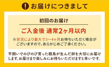 【全6回定期便】つまんでご卵 40個 定期便（月1回）卵 たまご 糸島 / 緑の農園 [AGA013] ランキング 上位 人気 おすすめ