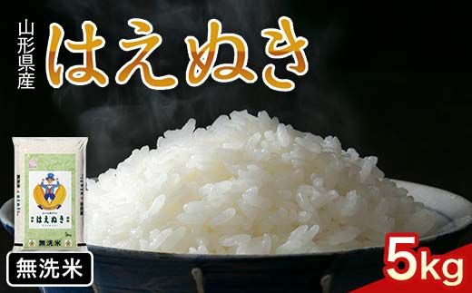 FYN1-239 令和7年産 新米 山形県産 はえぬき 5kg 2025年 お米 米 米米 ごはん ご飯 白米 国産 ブランド米 節水 時短 冷めてもおいしい お取り寄せ 食品 山形県 西川町 月山