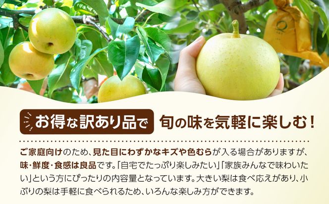 1265.【2026年度発送先行予約】訳あり　二十世紀梨　3kg 313726_CS008