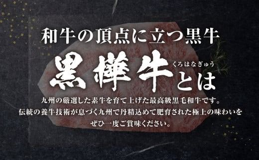 【定期便】黒樺牛 【2回定期便】肉厚サーロインステーキ 約300g 合計約600g お肉 肉 牛肉 ブランド黒毛和牛 和牛 黒毛和牛 ブランド牛 サーロイン ステーキ ロースステーキ 冷凍 国産 九州産 冷凍