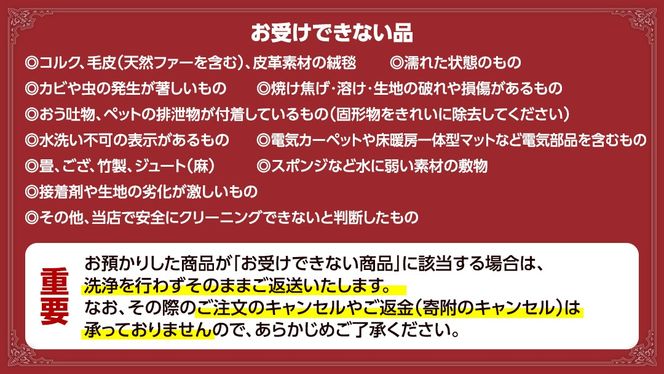 ＼選べるサイズ／宅配 絨毯 クリーニング チケット │ プラチナトータルケアコース 宅配 クリーニング 洗濯 洗浄 清潔 じゅうたん ラグ カーペット 丸洗い マット ニオイ対策 大掃除 ダニ 対策 敷物