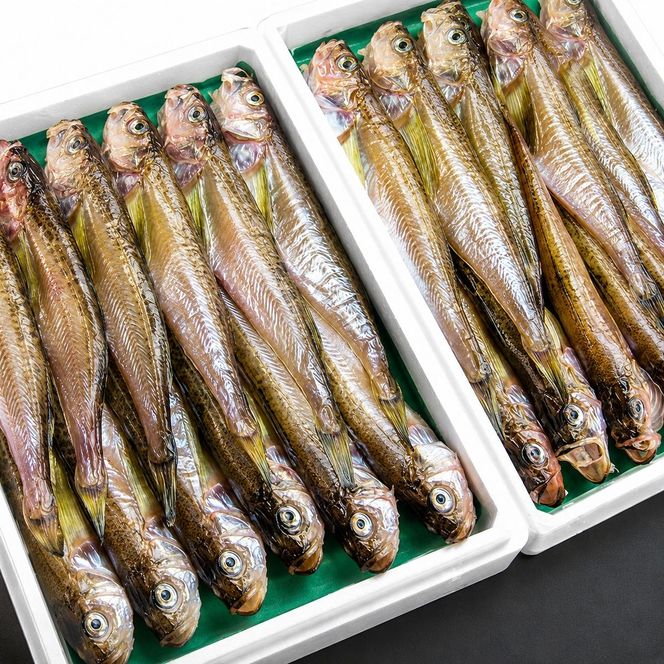 ハタハタ（特々大）干物 一夜干し 450g ×2箱【配送不可：離島】 魚貝類 海鮮 干物 おつまみ 肴 ハタハタ 酒  myz02 myz11 myz17
