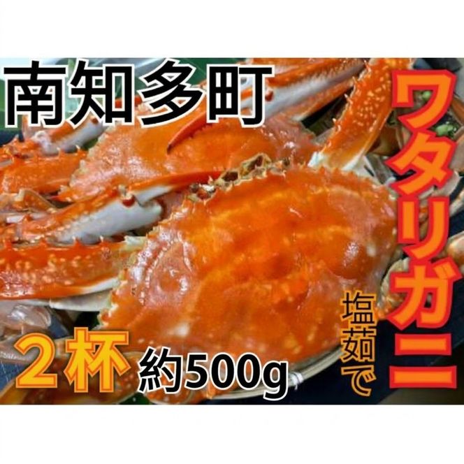 ワタリガニ 500g2杯 冷凍 ボイルワタリガニ 渡り蟹 海鮮 新鮮 魚介 海の幸 海産物 シーフードエム・エム 愛知県 南知多町