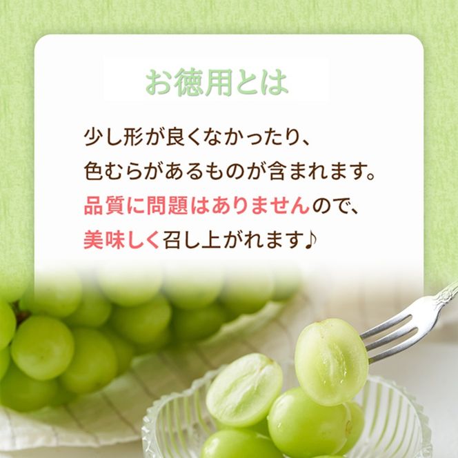 2026年 早期受付 ぶどう ギフトお徳用 シャインマスカット 2kg以上(3～5房) 数量限定 岡山県 高梁市産